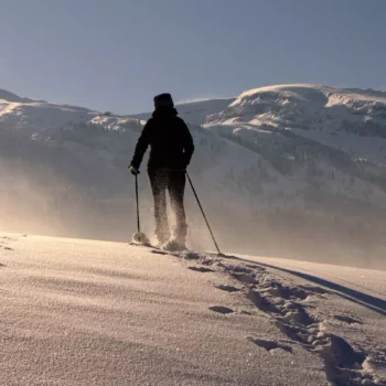 Voir l'activité : Raquette à neige