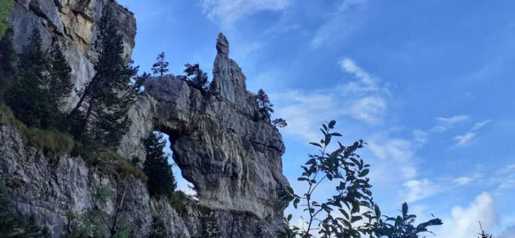 Arche à l'aiguille