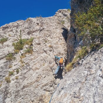 « Gicon d’Agneau » PIERROUX