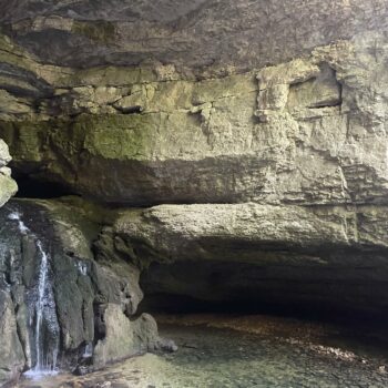 Aiguillons de Brasse