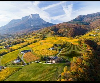 VTT .Tour dans les vignes d’Apremont et autour du lac Saint André