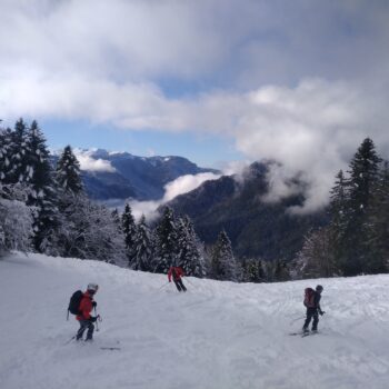 LA SCIA CHARTREUSE 1791 + éventuellement tricotage