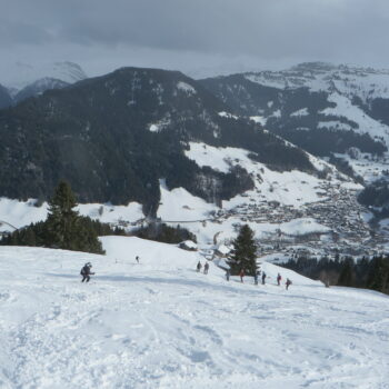 Roche Plane versant Est 2166m