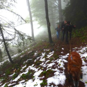 Ferme de Fessole 1410m