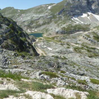voie « a l&rsquo;ombre du loup »