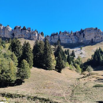 Grande Sure 1920m